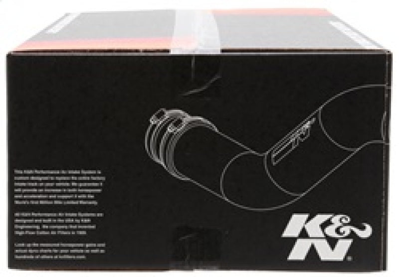 
                      
                        K&N 11-17 BMW 520i/528i N20 2.0L F/I Performance Air Intake System
                      
                    