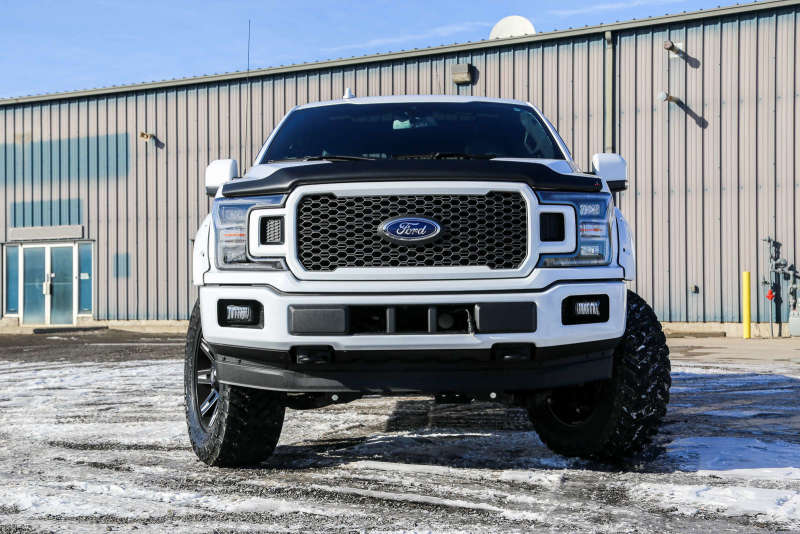 
                      
                        EGR 15+ Ford F150 Superguard Hood Shield - Matte (303475)
                      
                    