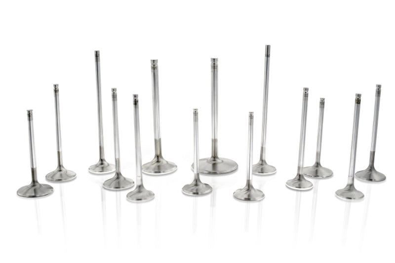 
                      
                        Ferrea Honda F20C 32mm 5.46mm 109mm 22 Deg Flo +1mm Competition Plus Exhaust Valve - Set of 8
                      
                    