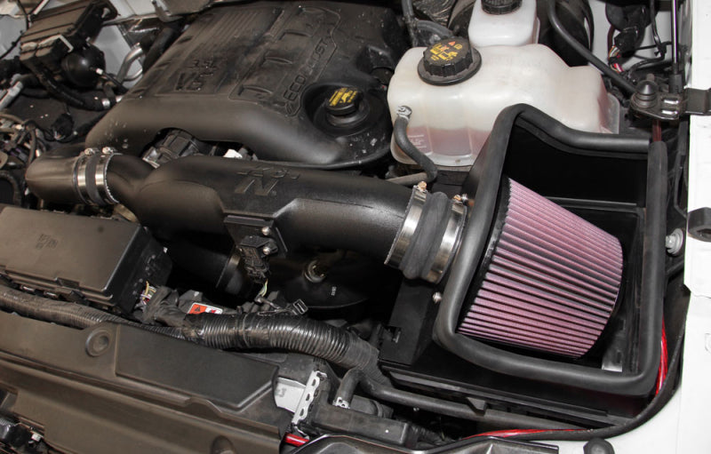 
                      
                        K&N 11-14 Ford F-150 3.5L V6 Performance Intake Kit
                      
                    