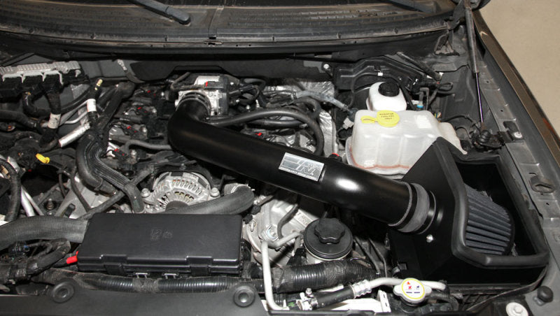 
                      
                        K&N 11-12 Ford F150 6.2L V8 Performance Intake Kit
                      
                    