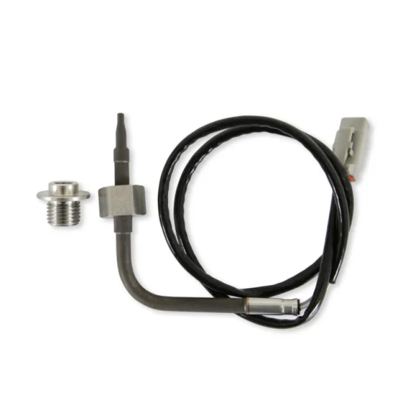 
                      
                        AEM RTD Exhaust Gas Temperature Sensor Kit
                      
                    