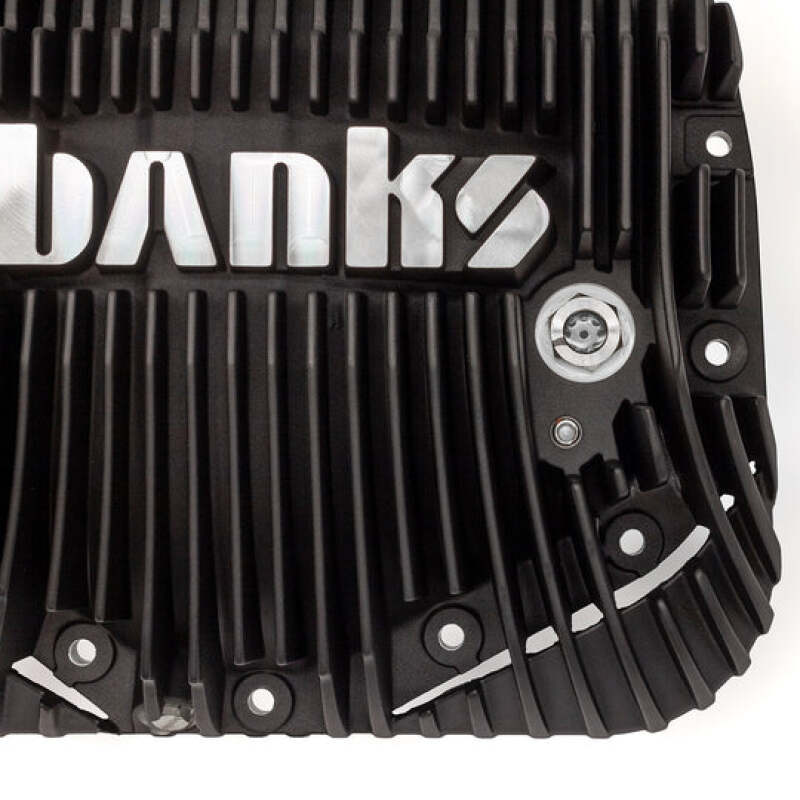 
                      
                        Banks 19+ Ram / Ram-Air Differential Cover Kit Black Ops, w/Hardware
                      
                    