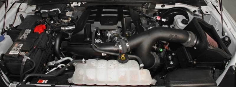 
                      
                        K&N 2015 FORD F150 2.7L V6 Performance Intake Kit
                      
                    