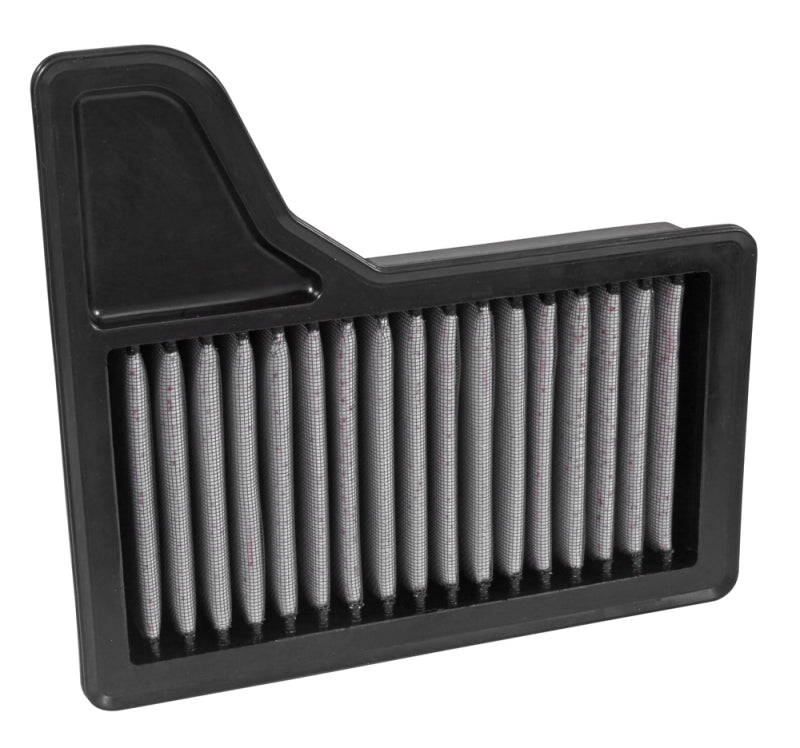 
                      
                        AEM 2015 Ford Mustang 2.3L/3.7L/5.0L Dryflow Air Filter
                      
                    