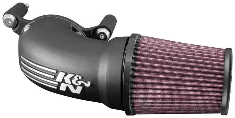 
                      
                        K&N 01-17 Harley Davidson Softail / Dyna FI Performance Air Intake System
                      
                    