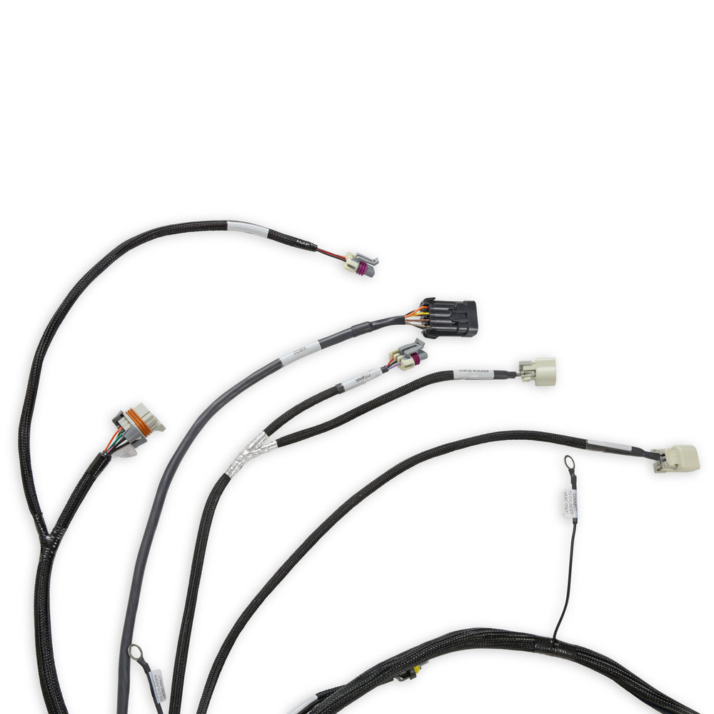 
                      
                        Engine Wiring Harness - 558-134
                      
                    