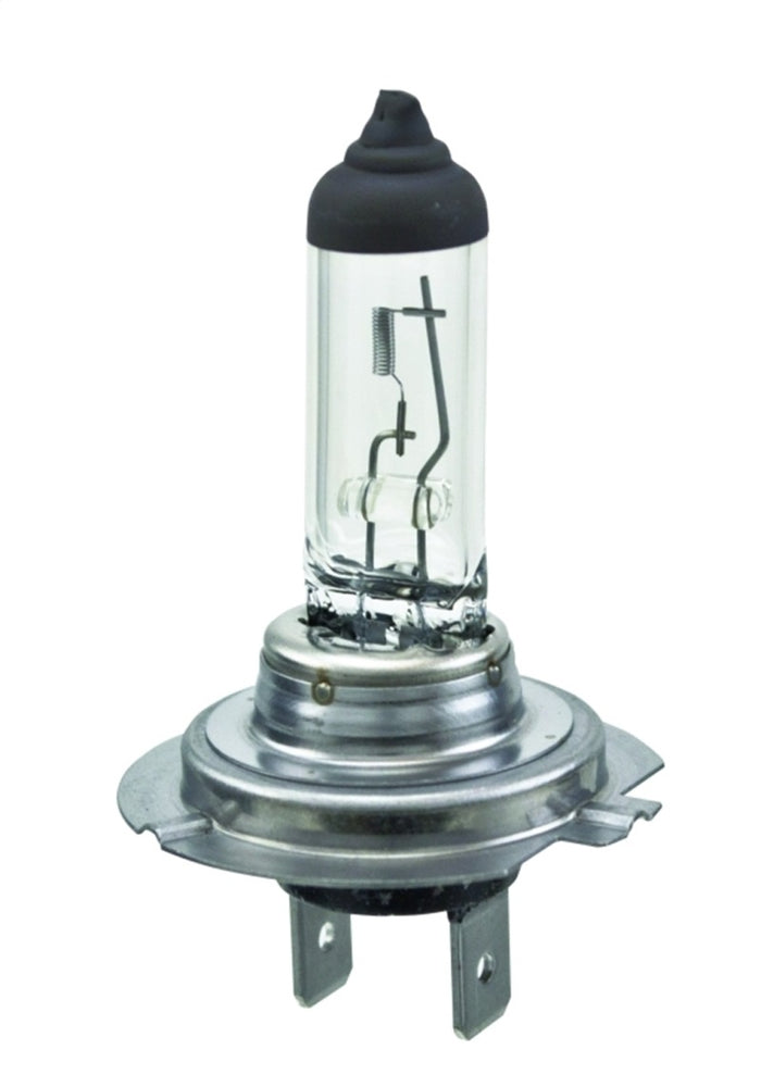 
                      
                        Hella Halogen H7 Bulb
                      
                    