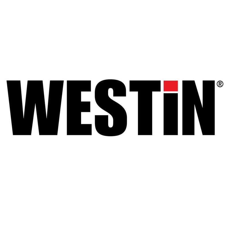 Westin Tow Hook (1 per) - Black