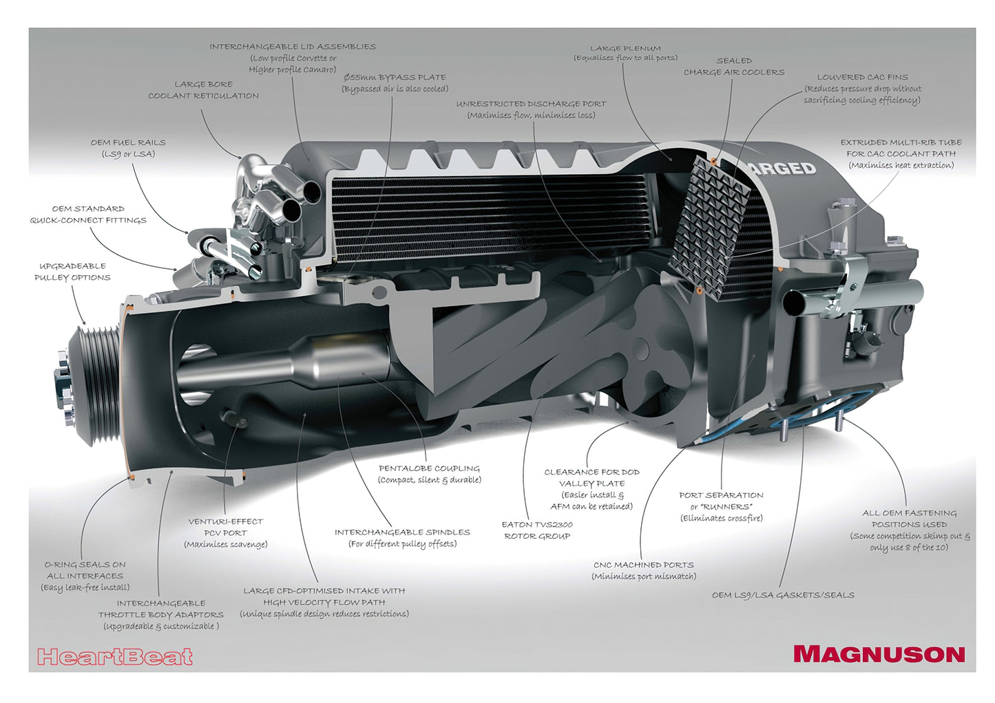 Magnuson TVS2300 Heartbeat Supercharger System - West Bend Dyno